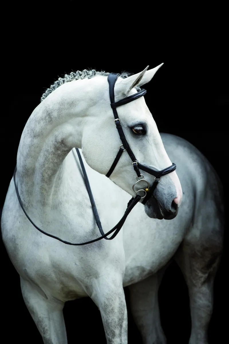 Rambo Micklem Deluxe Competition Bridle Dark Havana